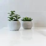 Apartament Nest Nel Cuore Del Centro Storico Di *